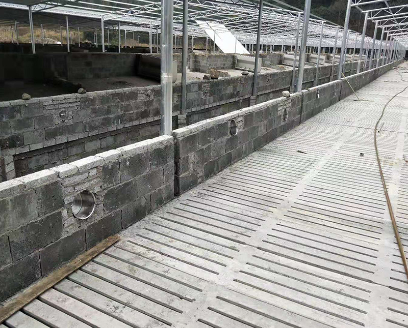 ˮ��©�������ֳ���ܵ����õ�ԭ��